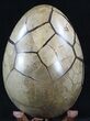 Septarian Dragon Egg Geode With Removable Section #33505-7